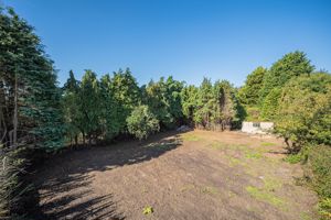 Garden / Land- click for photo gallery